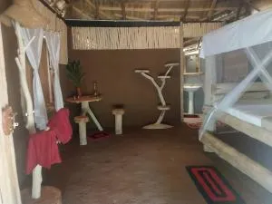 Nature Kingdom Botanical Garden - Kudawewa