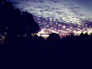 cabañita Campestre, independiente