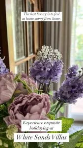 White Sands Villas - Varca