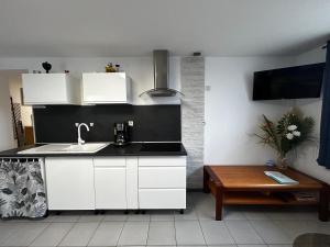 T2 avec jardin, terrasse et Wifi à 1km des Thermes - FR-1-541-156