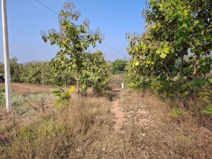 25 acres of picturesque farm