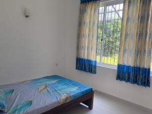 Rooby Homes