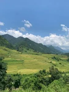 The Zen House Sapa - Pan Phó Tchay