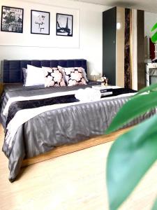 Impact Arena C75fl by GoodRoom24