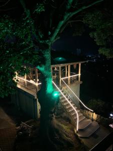 Apartment Green House