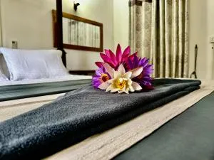 Curve Hiri - Dikwella North