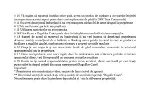 Plata numerar cautati pe G00gle Norsk Skogkatt