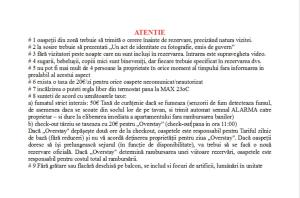 Norsk Skogkatt - BigTV DisneyTV