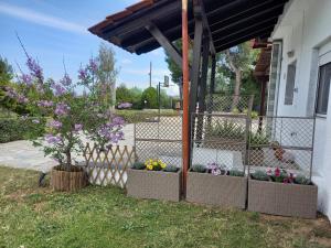 Alexandra House on the Hill