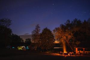 Biebrza CAMP - pole namiotowe