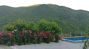 Green garden Կանաչ այգի - Volorut