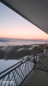 Presidentkop A208 Welnes &SPA