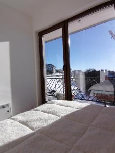 Presidentkop A208 Welnes &SPA