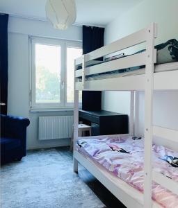 Modern apartment in top location