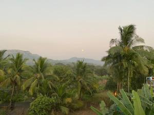 Amex villa 4bhk alibaug