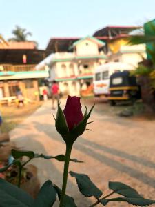 Vruhi Villa 6BHK Alibaug