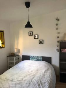 Chalets Le Petit Chalet de la Plage - Terrasse & Jardinet : photos des chambres