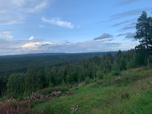 Timmerstugan Dalarna - nära Mora och Orsa Grönklitt