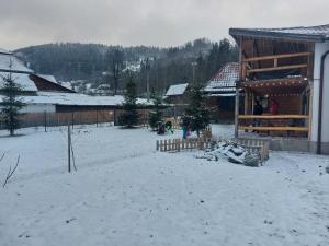 Cabana Mareea -Lunca Bradului