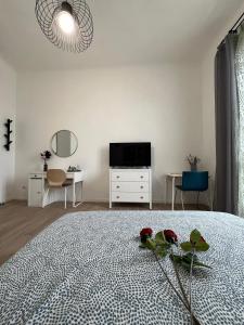 Carrara 23 Navigli Be Like! - Duomo Forum Bocconi