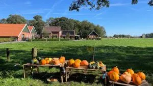 Oons hoes - Weerselo