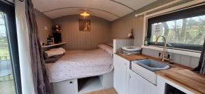 pen-rhos luxury glamping "The Hare Hut"