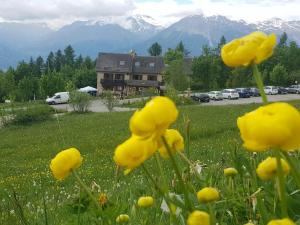 Auberges Gite de la Draye : photos des chambres