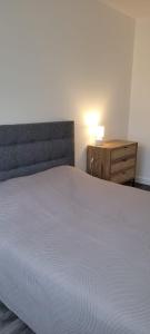 3 bedrooms apartment Paris 16 - Michel Ange