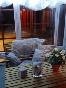 Cozy cottage on lake