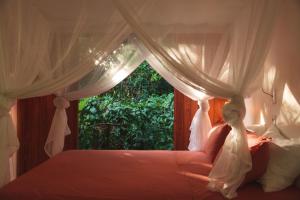 Taba Maraú - Praia de Algodões