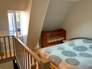 Maisons de vacances Spacieuse Maison Bleue, au centre des Cordiers : photos des chambres