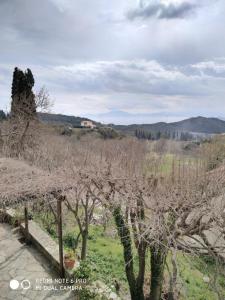 New apartment, amazing view Alli Meria near Pelion