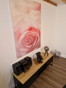 Maison charmante quartier historique