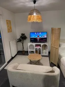 Studio Leman Ciel avec parking privé gratuit - 穆瓦朗－昂蒙塔涅