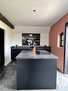 Huisje over de IJssel