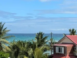 Le Mabuya de Crystal Beach - Sèze