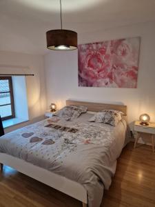 Maison charmante quartier historique