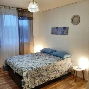 Appartement entier paisible proche Tours - 茹埃莱图尔