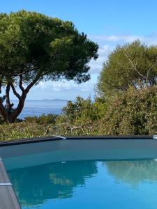 Villas Villa 180 m2 vue Mer Piscine Climatisee Grand jardin 5000 m2 cloture Calme : photos des chambres