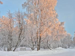 Tilava uudistettu perheasunto