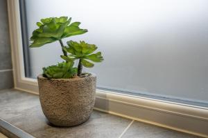 The bungalow at Phoenix Court