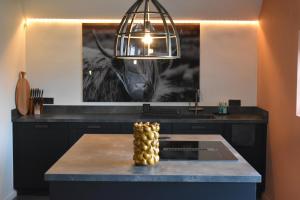 Huisje over de IJssel