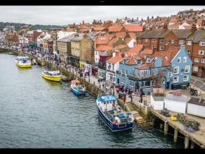 Rowan Boutique Lodge for couples with a dog