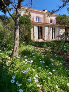 Villa Nausicaa