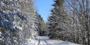 Picturesque Apartment in beautiful setting surrounded by Mountain and Ski Slope Views