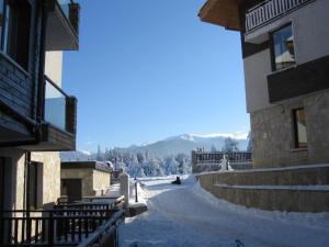 Picturesque Apartment in beautiful setting surrounded by Mountain and Ski Slope Views