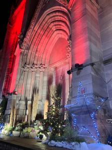 Lovely Mulhouse Apartment