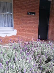 Merala a cosy cottage with easy stroll to CBD