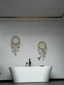 Departamento Meraki !!