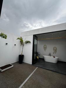 Departamento Meraki !!